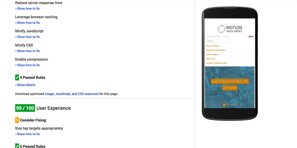 Screenshot of the Google audit results page.